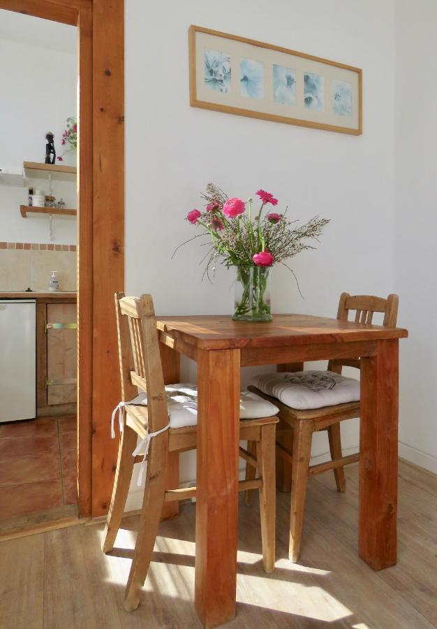 זנדוורט Sea Shell With Balcony Close To The Beach, City Centre And Dunes מראה חיצוני תמונה